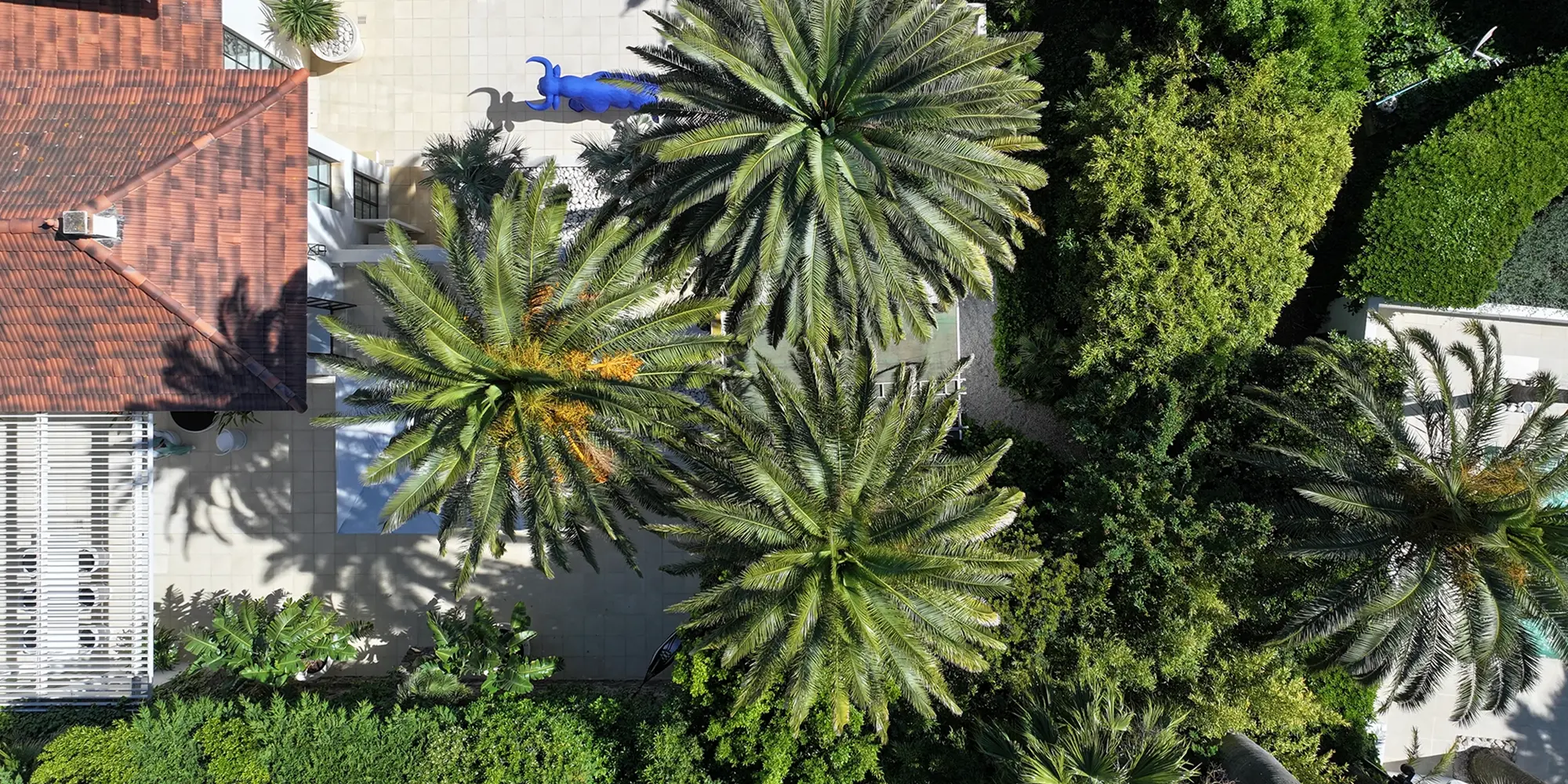 een vakantie in Mandelieu-la-Napoule