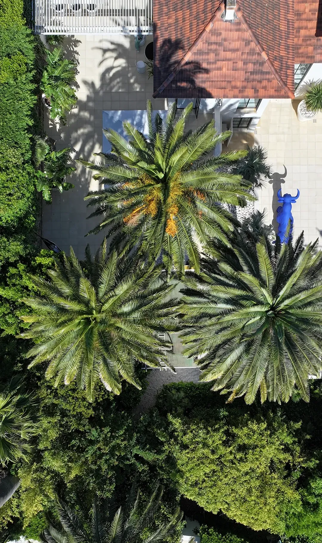 villa Bianca saint tropez, villa thalassa st tropez, bo house st tropez, charles and ulysses st tropez, villa zelie st tropez, villa Printania st tropez, bo house villa, luxury villa st tropez kopie