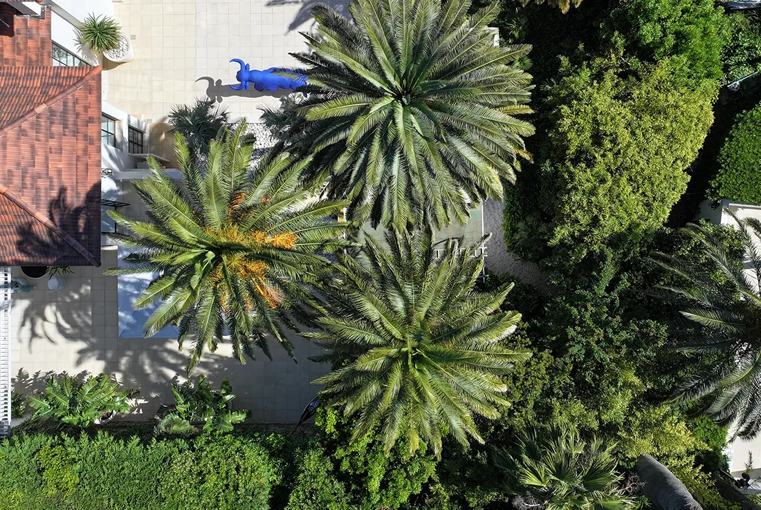 villa printania saint tropez, villa gert verhulst saint tropez, villa zelie saint tropez, villa thalassa saint tropez, bo house saint tropez, bo house st tropez, High-end holiday, baindoux, villa casa bianca